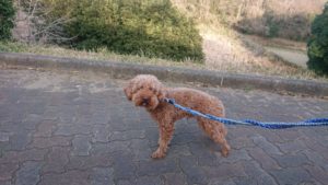 夜のお時間 2019/3/18