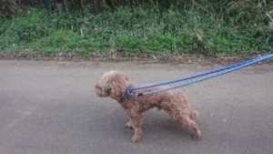 朝のお時間 2019/3/19