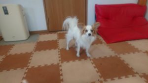 お昼のお時間 2019/3/19