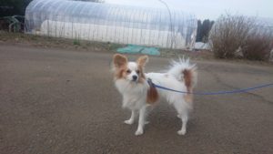 夜のお時間 2019/3/19