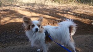 朝のお時間 2019/3/20