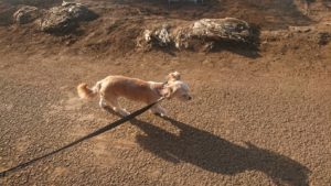 夜のお時間 2019/3/20