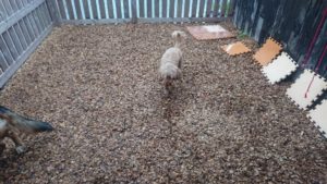 朝のお時間 2019/3/21