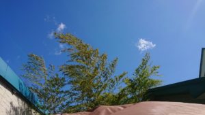 お昼のお時間 2019/3/21