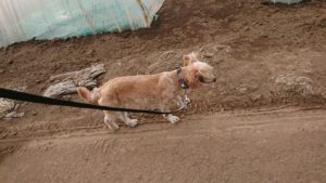 夜のお時間 2019/3/21