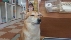 昼過ぎのお時間 2019/3/22