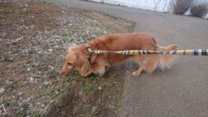 夜のお時間 2019/3/22