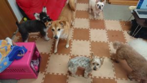 昼過ぎのお時間 2019/3/23