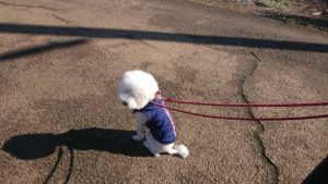 朝のお時間 2019/4/2