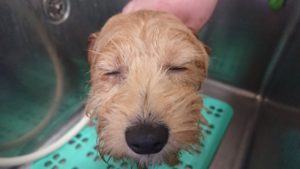 夜のお時間 2019/4/2