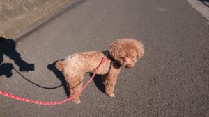 朝のお時間 2019/4/3