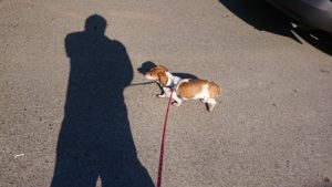 朝のお時間 2019/4/4