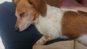 お昼のお時間 2019/4/4