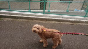 朝のお時間 2019/4/7