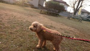 夜のお時間 2019/4/7