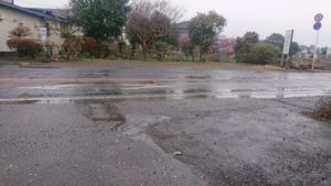 朝のお時間 2019/4/8