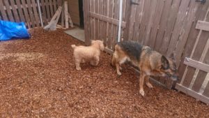 お昼のお時間 2019/4/8