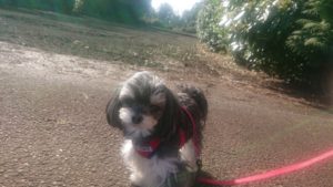 朝のお時間 2019/4/9