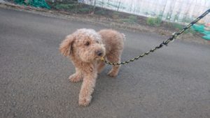 夜のお時間 2019/4/9