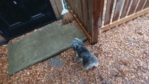 朝のお時間 2019/4/10