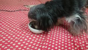 夜のお時間 2019/4/10