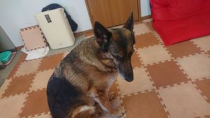 あの曲をちょこっと 2019/4/11