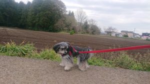 朝のお時間 2019/4/12