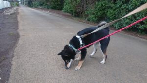 夜のお時間 2019/4/12