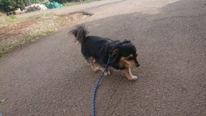 朝のお時間 2019/4/14