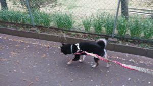 夜のお時間 2019/4/14