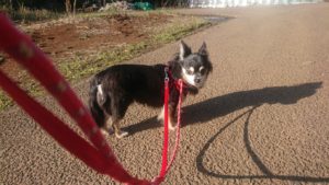 気をつけて！(◎-◎) 2019/4/15