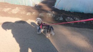 朝のお時間 2019/4/16