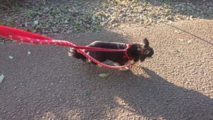 夜のお時間 2019/4/16