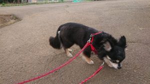 朝のお時間 2019/4/17