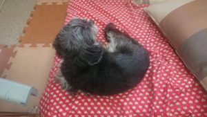 お昼のお時間  2019/4/17