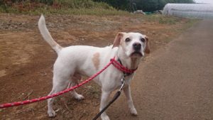 夜のお時間 2019/4/17