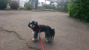 朝のお時間 2019/4/18