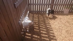 お昼のお時間 2019/4/18