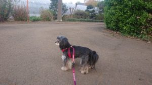 夜のお時間 2019/4/18