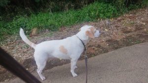 朝のお時間 2019/4/19