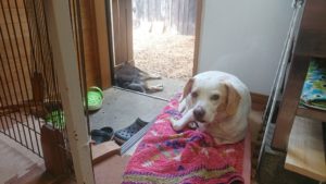 お昼のお時間 2019/4/19