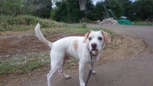 夜のお時間 2019/4/19