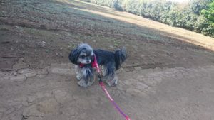 朝のお時間 2019/4/20