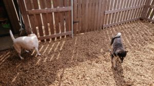 お昼過ぎのお時間 2019/4/20