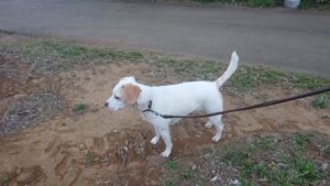 夜のお時間 2019/4/20