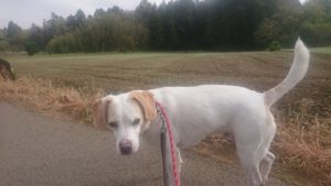 朝のお時間 2019/4/21