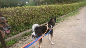 夜のお時間 2019/4/21