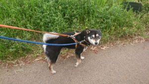 朝のお時間 2019/4/22