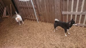 お昼のお時間 2019/4/22