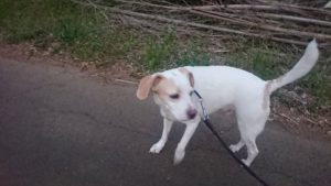 夜のお時間 2019/4/22